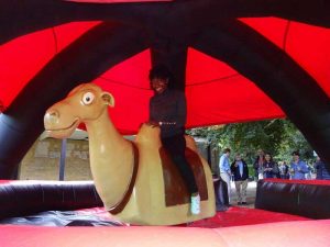 Bucking-Bronco-hire-Essex Bucking Bronco hire Essex; Mechanical bull rental