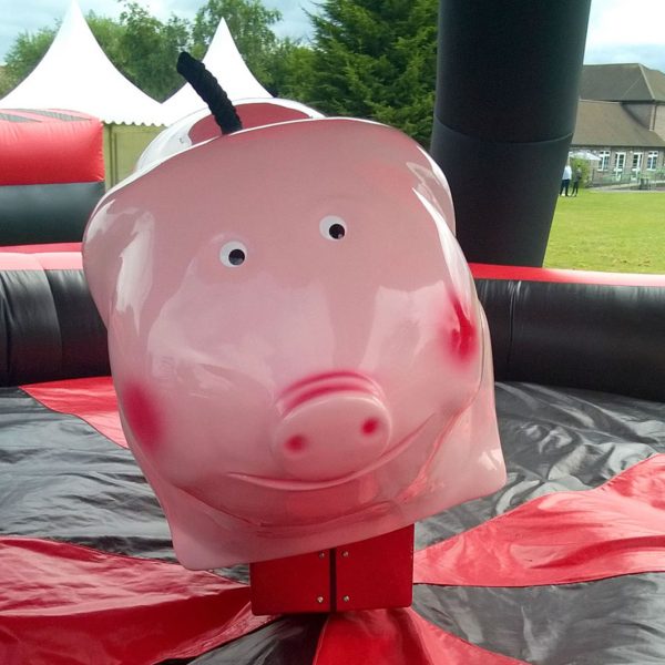 Rodeo hire kent
