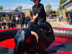 Bucking bronco hire rodeo