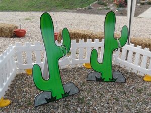 Cactus ring toss game