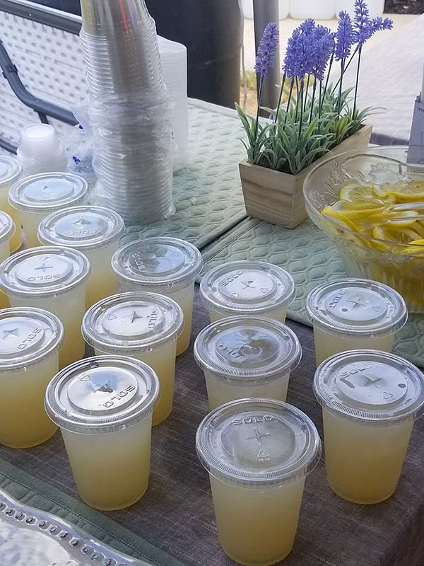 fresh-lemonade-stand-for-hire-kent