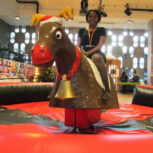 Bucking Bronco Hire; Rodeo Bull Hire