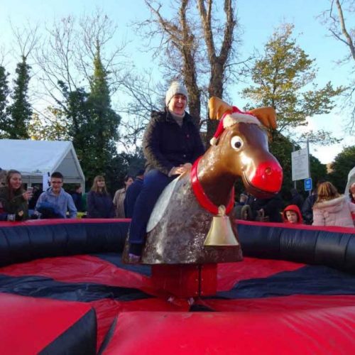 Bucking bronco hire Kent; Rodeo Bull Hire Kent