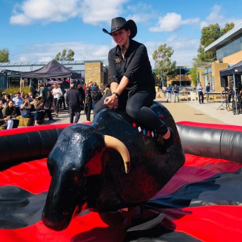 Bucking bronco hire rodeo