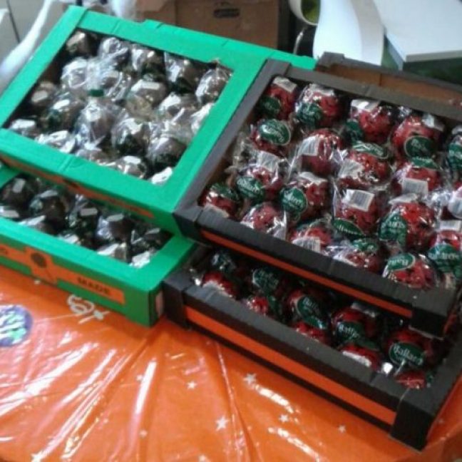 Bulk buy toffee apples