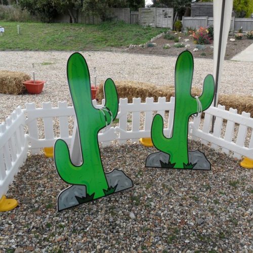 Cactus ring toss game