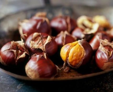 Chestnuts (Pic 4) Chestnuts (Pic 4)