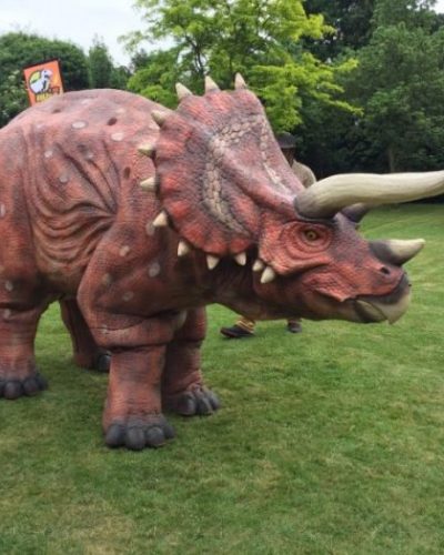 Dexter-dinosaur-hire-london Dexter dinosaur hire london