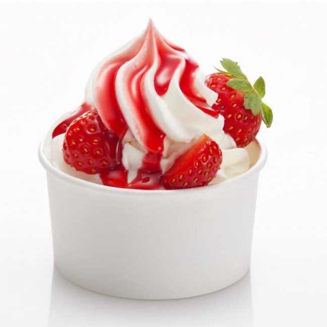 Frozen Yoghurt Rent