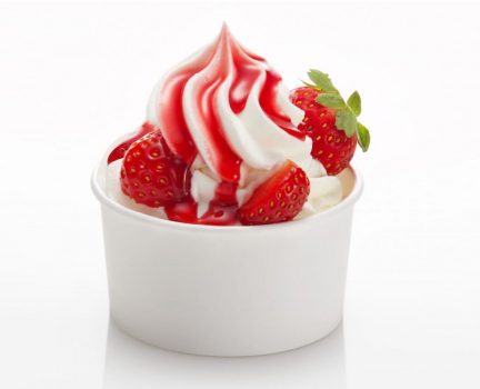 Frozen-Yoghurt-Rent Frozen Yoghurt Rent