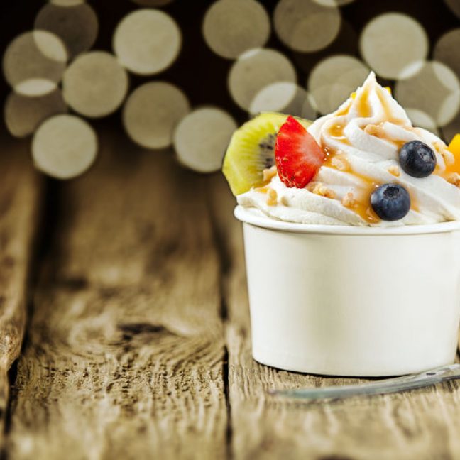 Frozen Yoghurt Hire