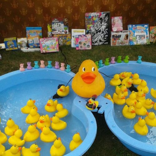 Hook a duck side stall game hire