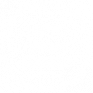 ICONS-300m ICONS-300m