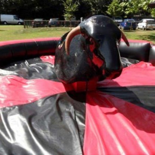 Mechanical bull hire; Rodeo Bull Hire