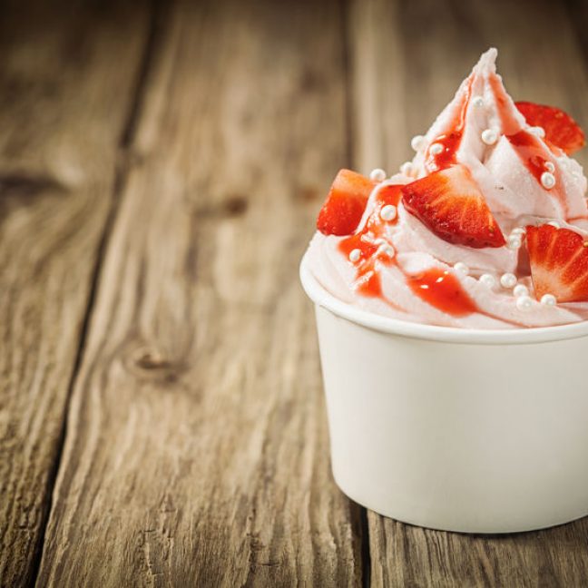 Mobile Frozen Yoghurt Bar Hire