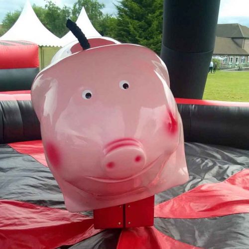 Rodeo bull hire Essex; Rodeo bull hire London