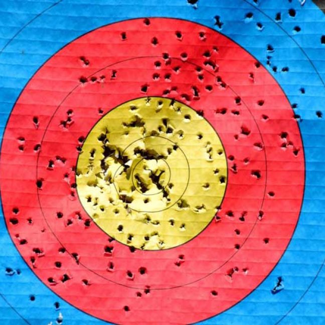 leisureking-archery-target