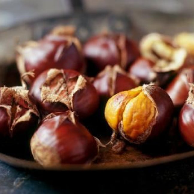leisureking-chestnuts-1