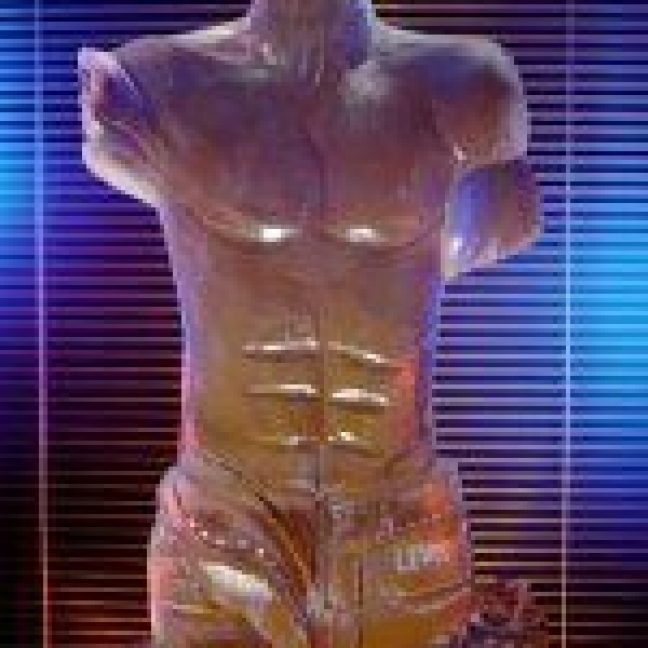 leisureking-icesculptures-maletorso