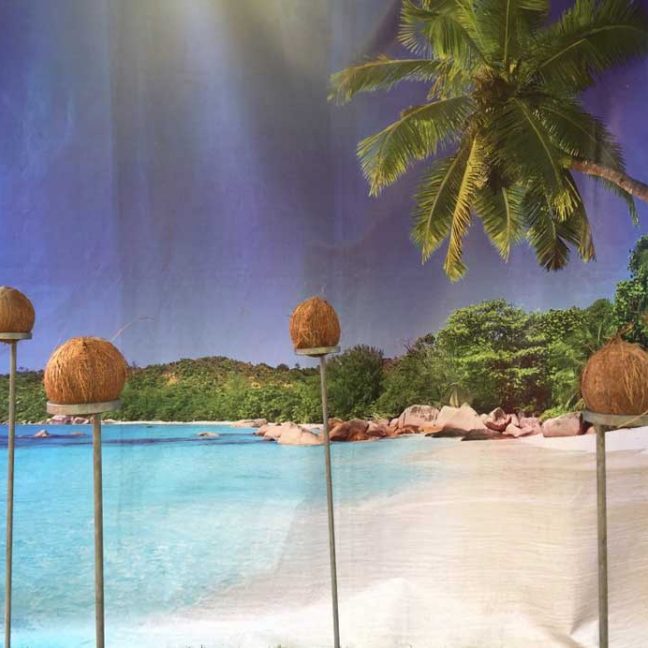 leisureking-sidestalls-coconutshy-2