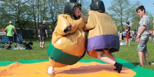 lesiureking-sumosuits-traditional-3 lesiureking-sumosuits-traditional-3
