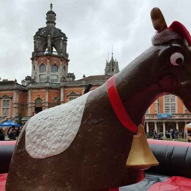 Rodeo Bull Hire London; bucking bronco hire