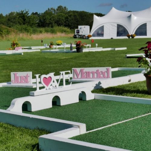 wedding-crazy-golf-rent